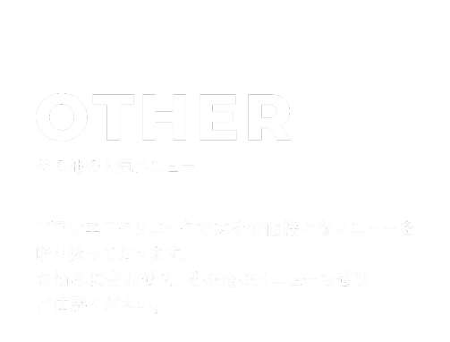 その他の人気メニュー