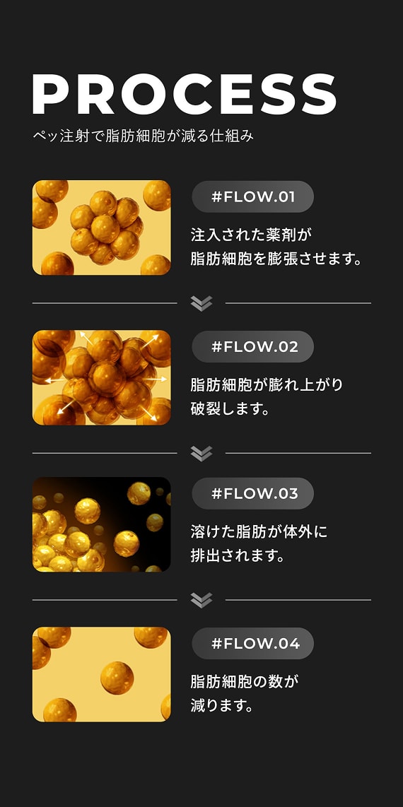 ペッ注射で脂肪細胞が減る仕組み